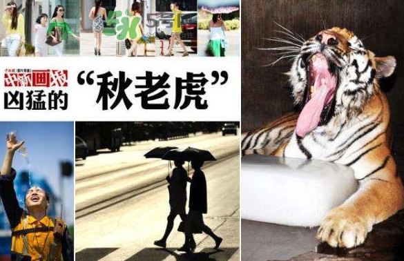 秋老虎有多熱？秋老虎一般是怎么算的？
