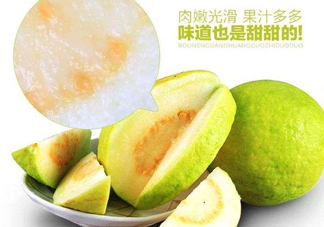 芭樂(lè)和番石榴有什么區(qū)別？芭樂(lè)和番石榴的區(qū)別