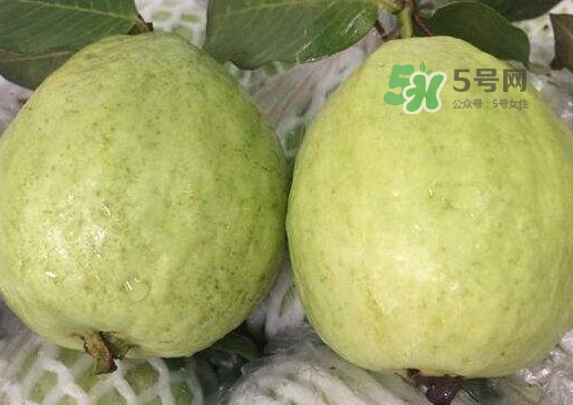 紅芭樂怎么吃？芭樂是熱的還是涼的