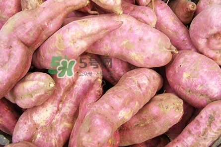 地瓜發(fā)芽了怎么種盆栽？拔絲地瓜怎么熬糖