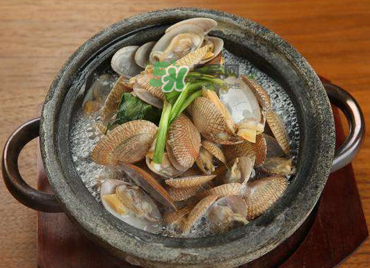 煮花蛤是開水還是冷水？花蛤用冷水還是熱水？