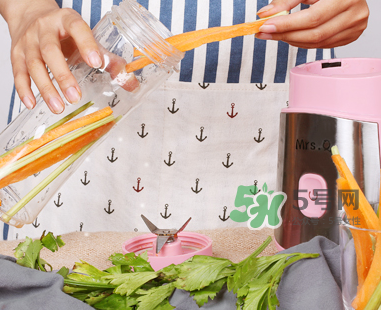 超級(jí)媽咪MQ1榨汁機(jī)怎么樣_使用說明 超級(jí)媽咪MQ1榨汁機(jī)怎么樣_使用說明