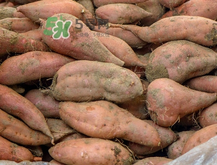地瓜怎么煮熟的快？地瓜切成片煮還是整個(gè)煮好