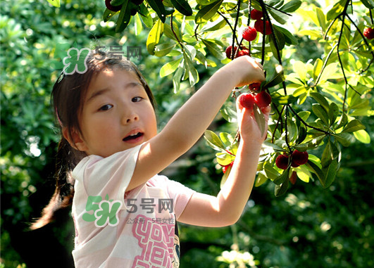 八月份還有楊梅嗎？楊梅幾月份結(jié)束？