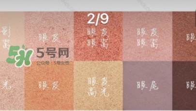zoeva玫瑰金眼影盤怎么畫？zoeva rose golden畫法教程