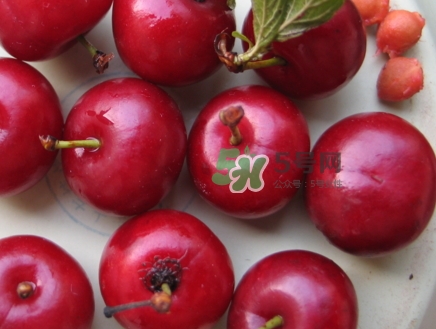 鈣果什么味道？鈣果好吃嗎？