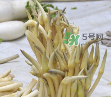 2017年藕帶什么時(shí)候下市？藕帶下市時(shí)間是幾月？