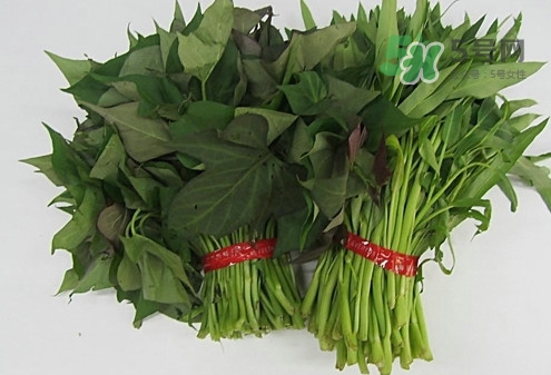 紅薯葉怎么做好吃？什么人不能吃紅薯葉