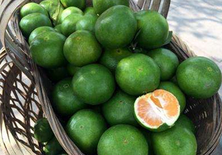 八月份可以吃橘子嗎？八月份的橘子能吃嗎？