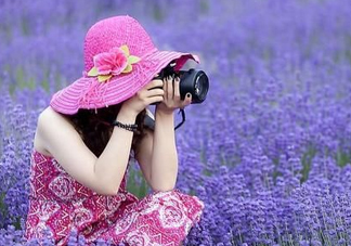 八月份還有薰衣草嗎？8月份還有薰衣草嗎？