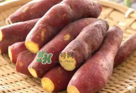 地瓜怎么做好吃？地瓜怎么吃好吃