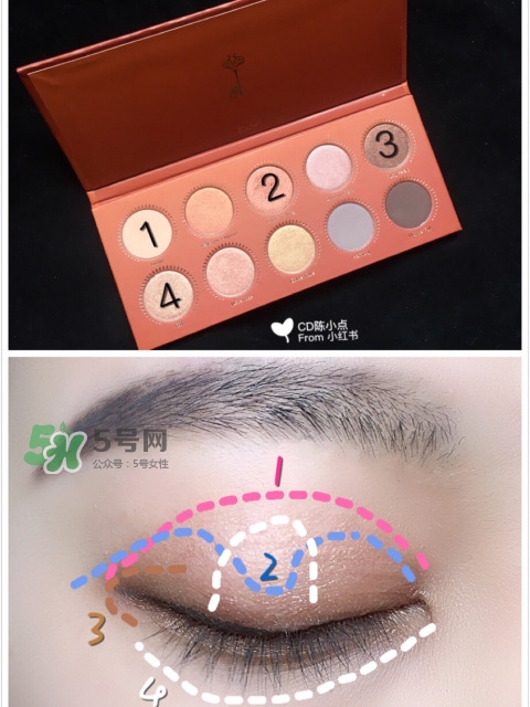 zoeva玫瑰金眼影盤怎么畫？zoeva rose golden畫法教程