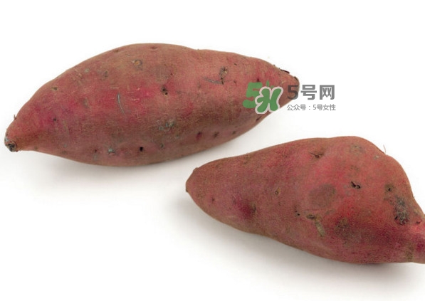 地瓜有哪些做法？地瓜跟紅薯有區(qū)別嗎