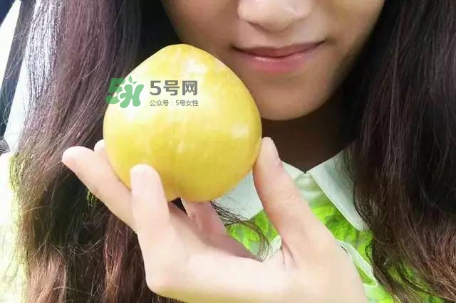 奈李是什么水果？奈李為什么會空心