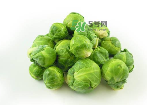 立秋可以種甘藍嗎？九月份能種甘藍嗎？