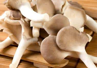 哪些人不能吃秀珍菇？秀珍菇不能和什么同吃？