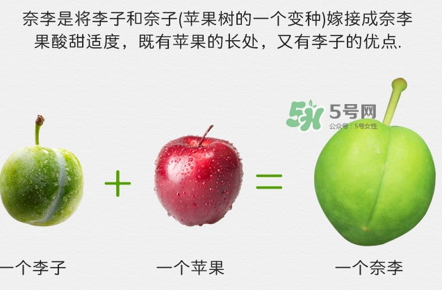 月經(jīng)期間可以吃奈李嗎？來月經(jīng)可以吃奈李嗎