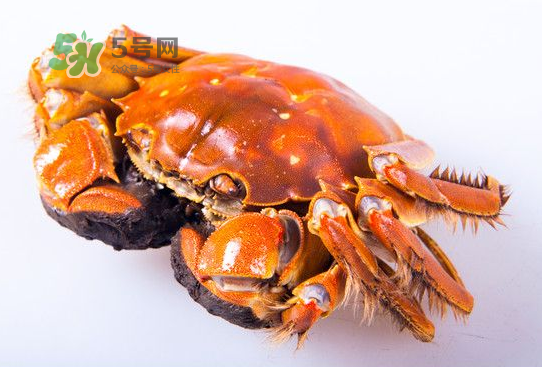 2017太湖大閘蟹價(jià)格 2017太湖大閘蟹上市時(shí)間 2017太湖大閘蟹價(jià)格 2017太湖大閘蟹上市時(shí)間