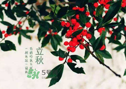 立秋為什么在處暑前？為什么立秋早過處暑？