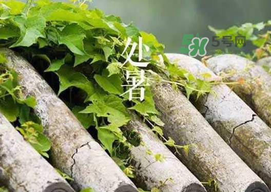 立秋為什么在處暑前？為什么立秋早過處暑？