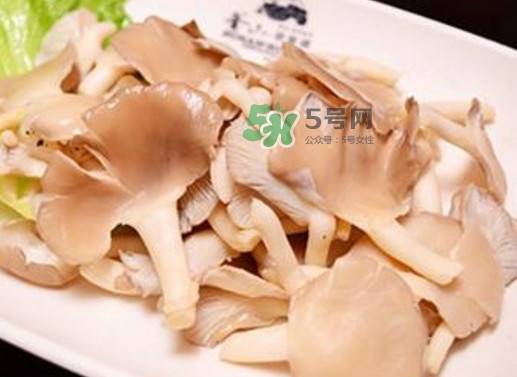 秀珍菇孕婦可以吃嗎？孕婦能吃秀珍菇嗎