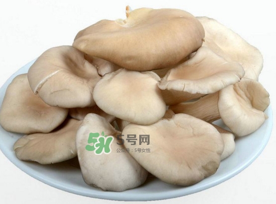 秀珍菇可以和海帶一起吃嗎？海帶能和秀珍菇一起吃嗎