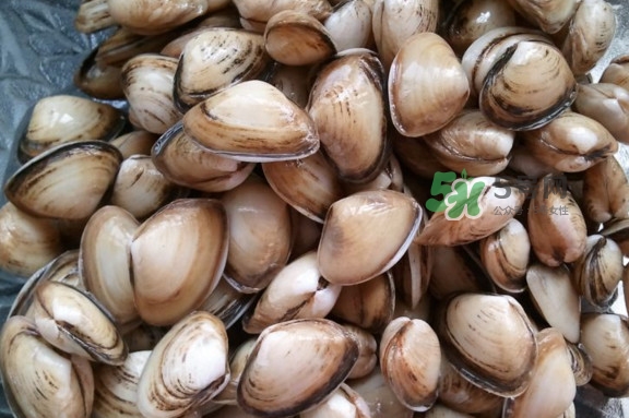 海瓜子多少錢一斤？西湖撈起的海瓜子能吃嗎