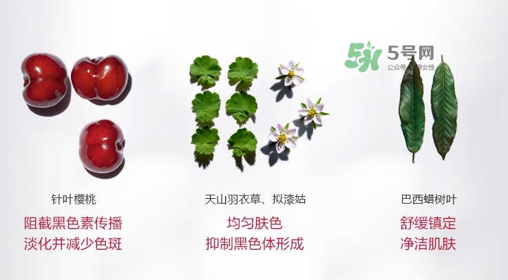 嬌韻詩牛奶水好用嗎？嬌韻詩牛奶水孕婦可以用嗎