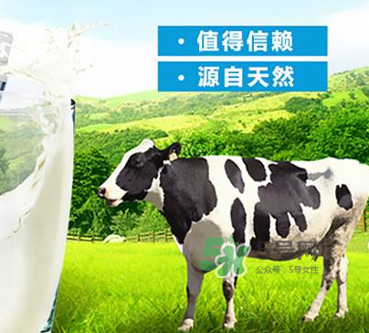 牛初乳是奶粉嗎？牛初乳跟奶粉的區(qū)別
