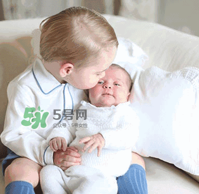 幼兒園早餐食譜大全 幼兒園早餐食譜表 幼兒園早餐食譜大全 幼兒園早餐食譜表