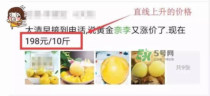 黃金奈李多少錢一斤？黃金奈李價格