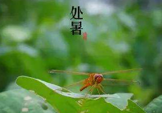 立秋為什么在處暑前？為什么立秋早過處暑？