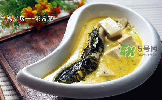 黃刺魚怎么殺？黃刺魚怎么處理