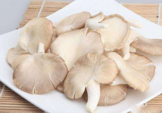 秀珍菇孕婦可以吃嗎？孕婦能吃秀珍菇嗎