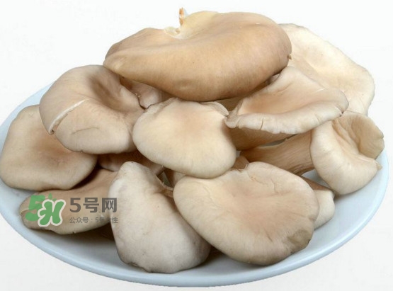 秀珍菇孕婦可以吃嗎？孕婦能吃秀珍菇嗎