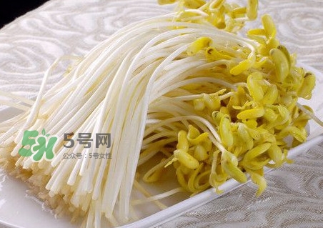 豆芽有綠葉還能吃嗎？豆芽有點爛了還能吃嗎