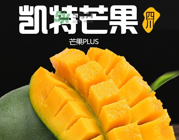 凱特芒果多少錢一斤？凱特芒果價格