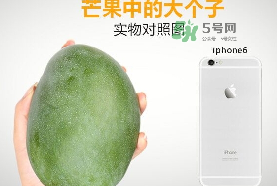 凱特芒果多少錢一斤？凱特芒果價格