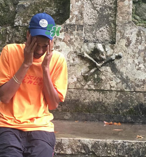 palace2017秋冬新款tri ferg tee什么樣_什么時(shí)候發(fā)售？