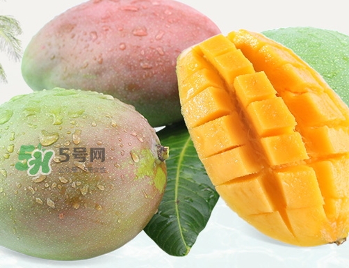 凱特芒果什么時候上市？凱特芒果上市時間