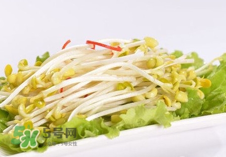 豆芽怎么保存？新鮮豆芽放冰箱能放幾天？