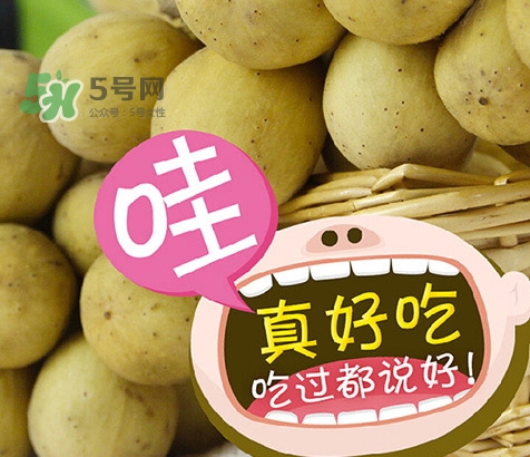 龍宮果孕婦可以吃嗎？懷孕可以吃龍功果嗎