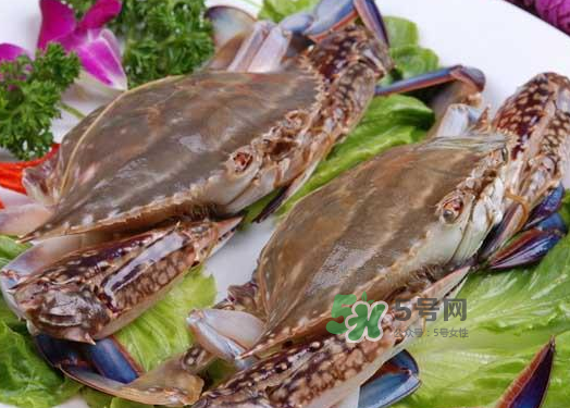 梭子蟹不能和什么一起吃？梭子蟹和什么不能一起吃？