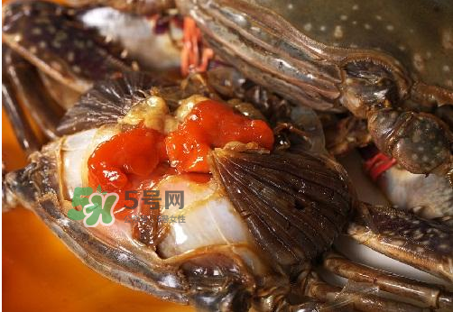 梭子蟹有蟹黃嗎？梭子蟹蟹黃在哪里？