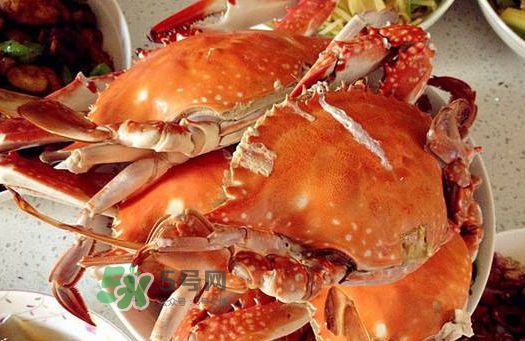 梭子蟹為什么沒有蟹黃？梭子蟹蟹黃能吃嗎？