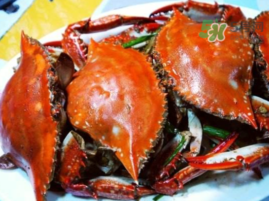 梭子蟹可以煮嗎？梭子蟹怎么煮？