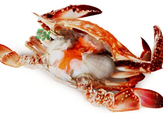 梭子蟹是寒性的嗎？梭子蟹哪些人不能吃？