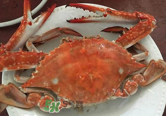 梭子蟹是寒性的嗎？梭子蟹哪些人不能吃？