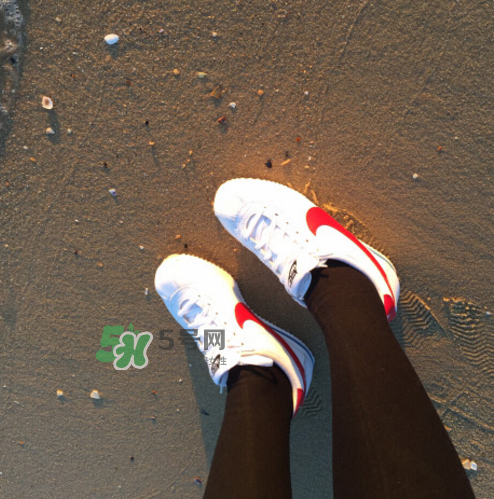 nike cortez jewel皮革版多少錢？耐克阿甘鞋皮革款價(jià)格