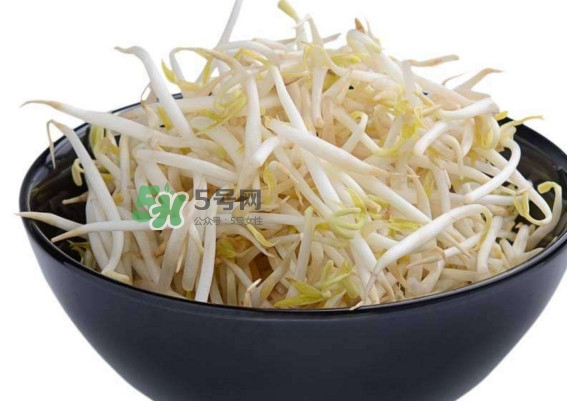 豆芽什么季節(jié)吃？豆芽什么時(shí)候有
